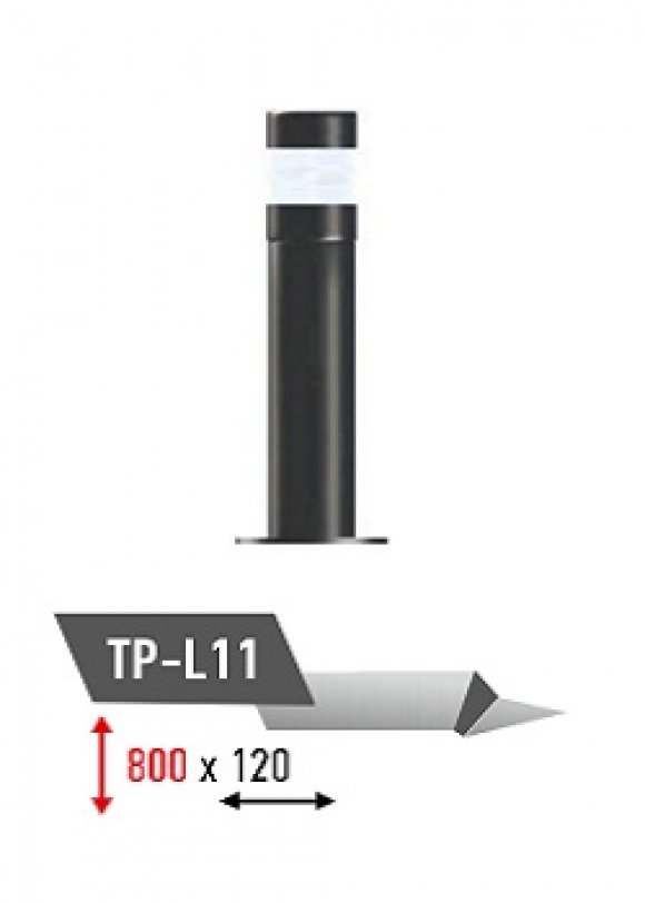 TP - L11